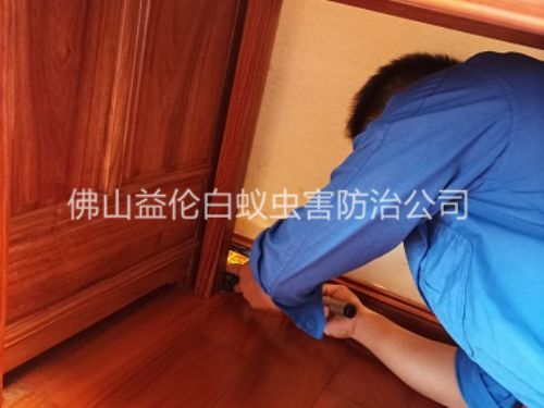 佛山木質(zhì)家具白蟻防治工程