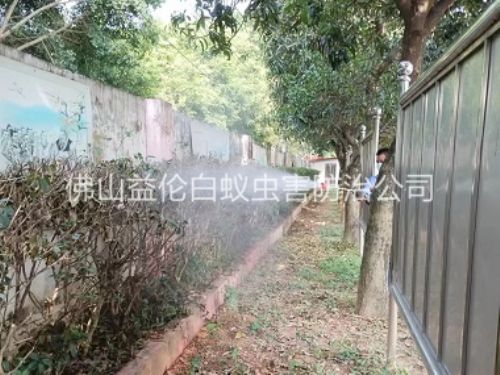 三水綠化帶蚊蠅防治工程